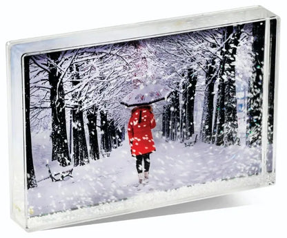 Photo snow box